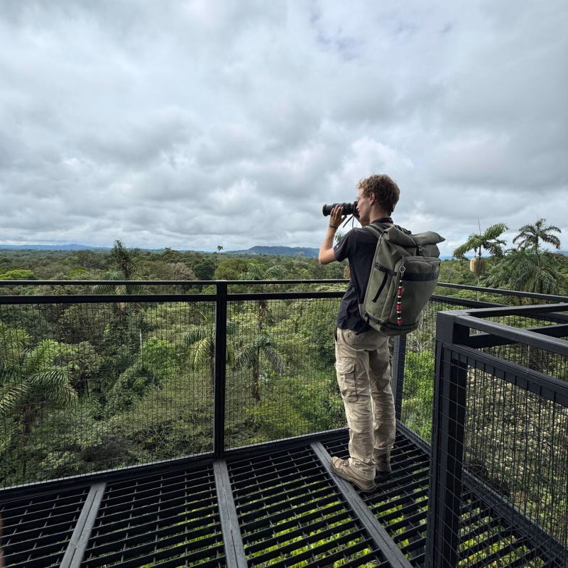 Avistamiento de Aves en la selva ecuatoriana