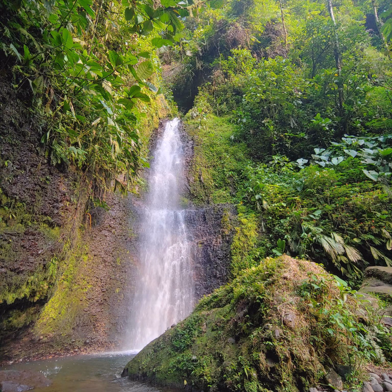 Hermosa vista de la cascada junto a la naturaleza
