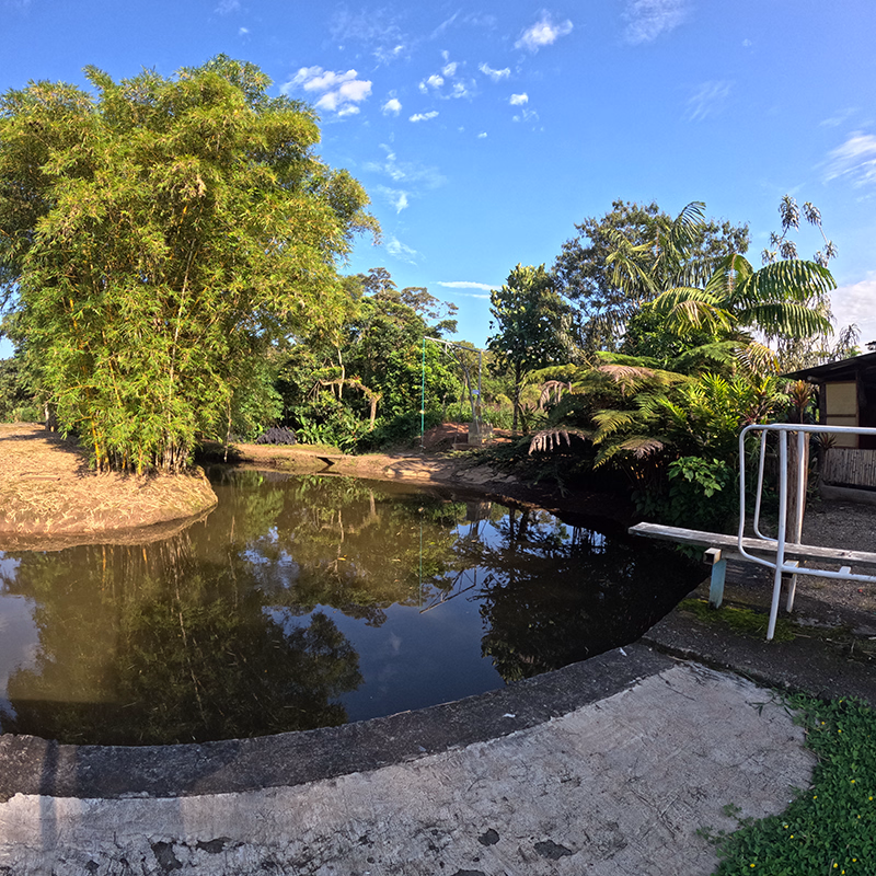 Tabla de salto junto al río