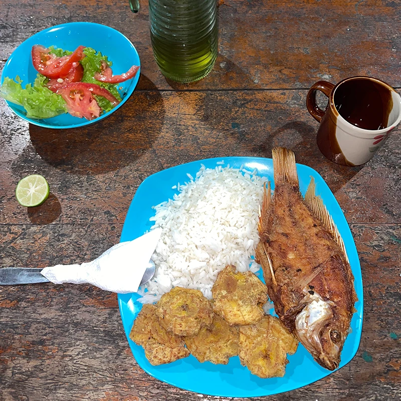 Tilapia frita con guayusa