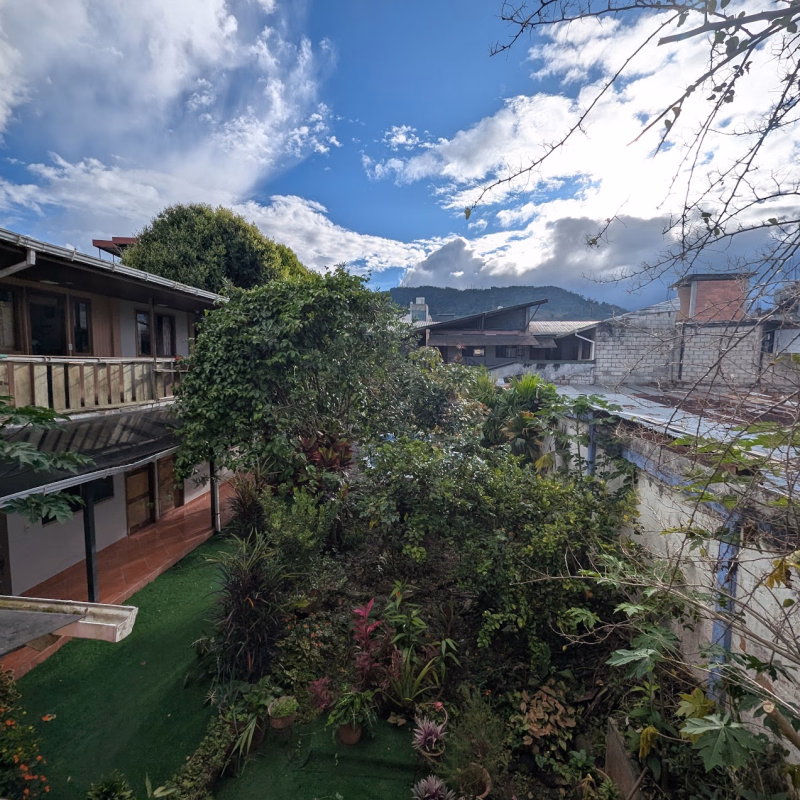 Vista al jardin del hotel