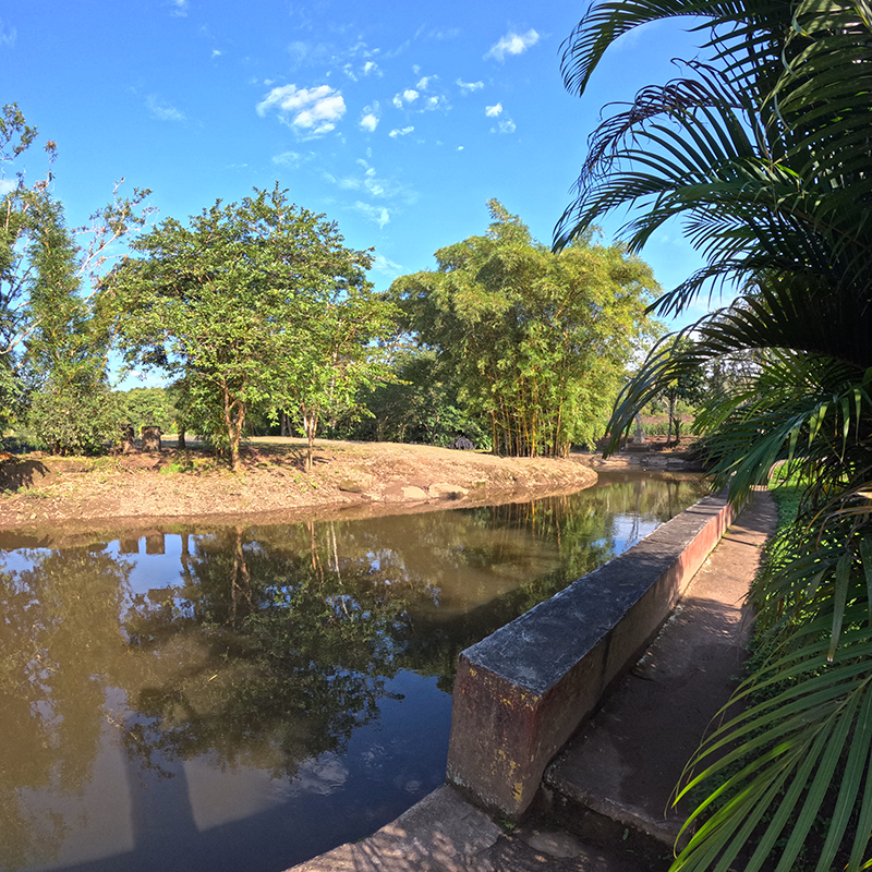 Vista del rio natural