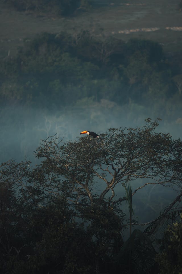 Turismo en Amazonía o Oriente, Ecuador