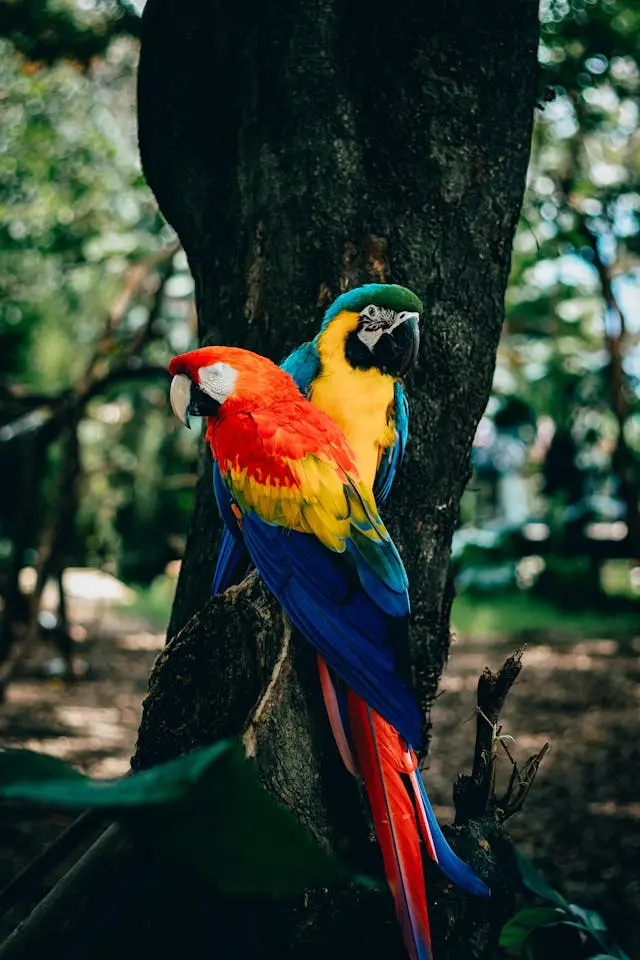 Información completa de la Amazonía del Ecuador