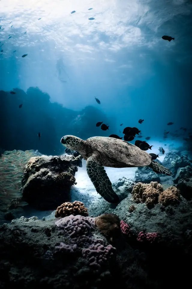 Turismo en Galápagos, Ecuador