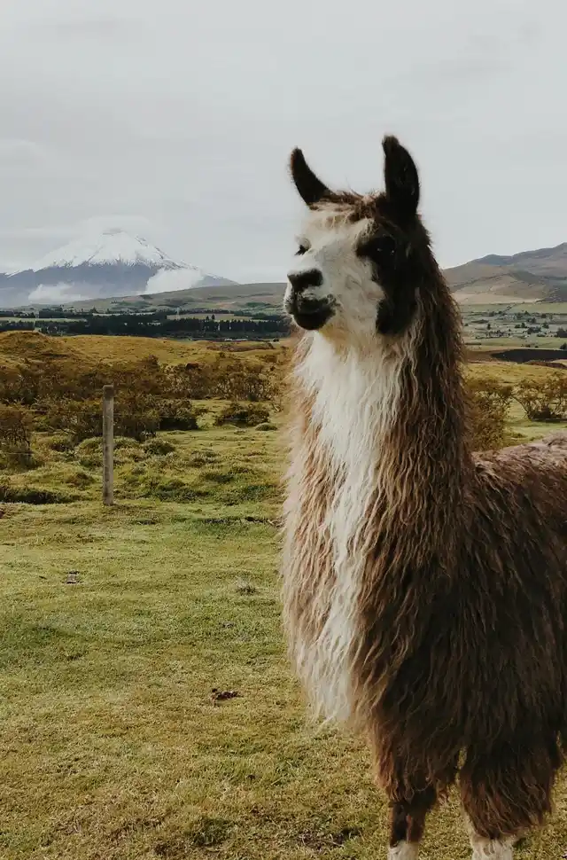 Información completa de la Sierra del Ecuador
